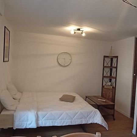 Studio Grand Balcon Montagne Ski Et Randos Люс-Сен-Совёр Экстерьер фото